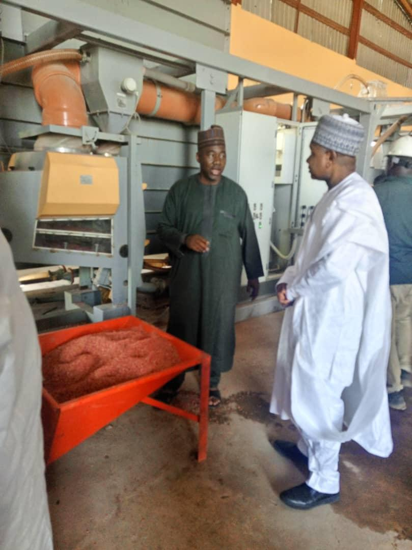 Kebbi Flour Mill Begins Operations In Birni Kebbi