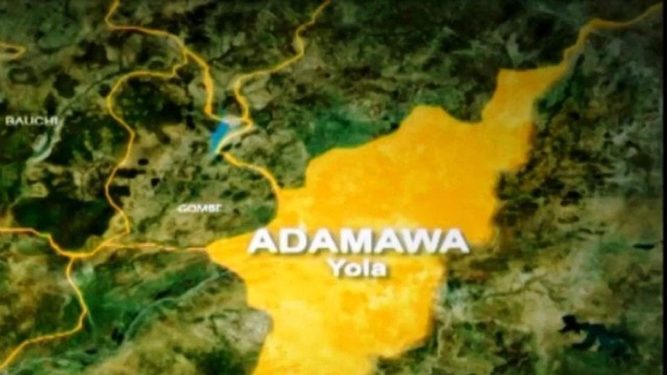 94-Year-Old Herbalist Arrested For Raping 13-Year-Old Girl In  Adamawa