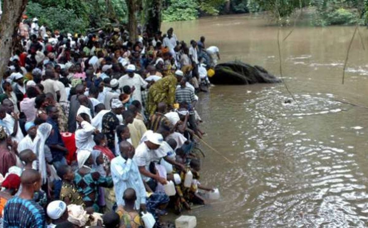 Gani Adams Condemns Violent Incident At Osun Osogbo Festival