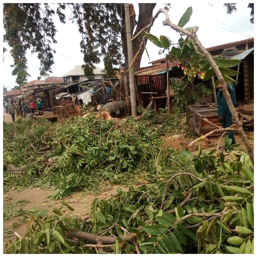 2 Killed By Falling Tree  In Ilorin , 5 Injured  