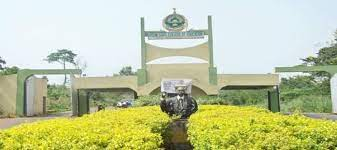 Ila College Of Education: Committee Overrules Governing Council, Reverses Provost’s  Suspension