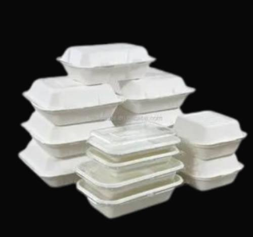  Lagos Govt Not Planning To Reverse Styrofoam Food Packs Ban- Environment Commissioner