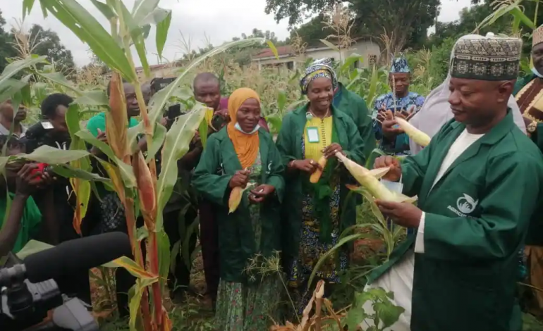 New Anti-Encroachment Strategy: Kwara Poly Uses Its Land For Large-Scale Farming…Ready To Welcome Tenant Farmers