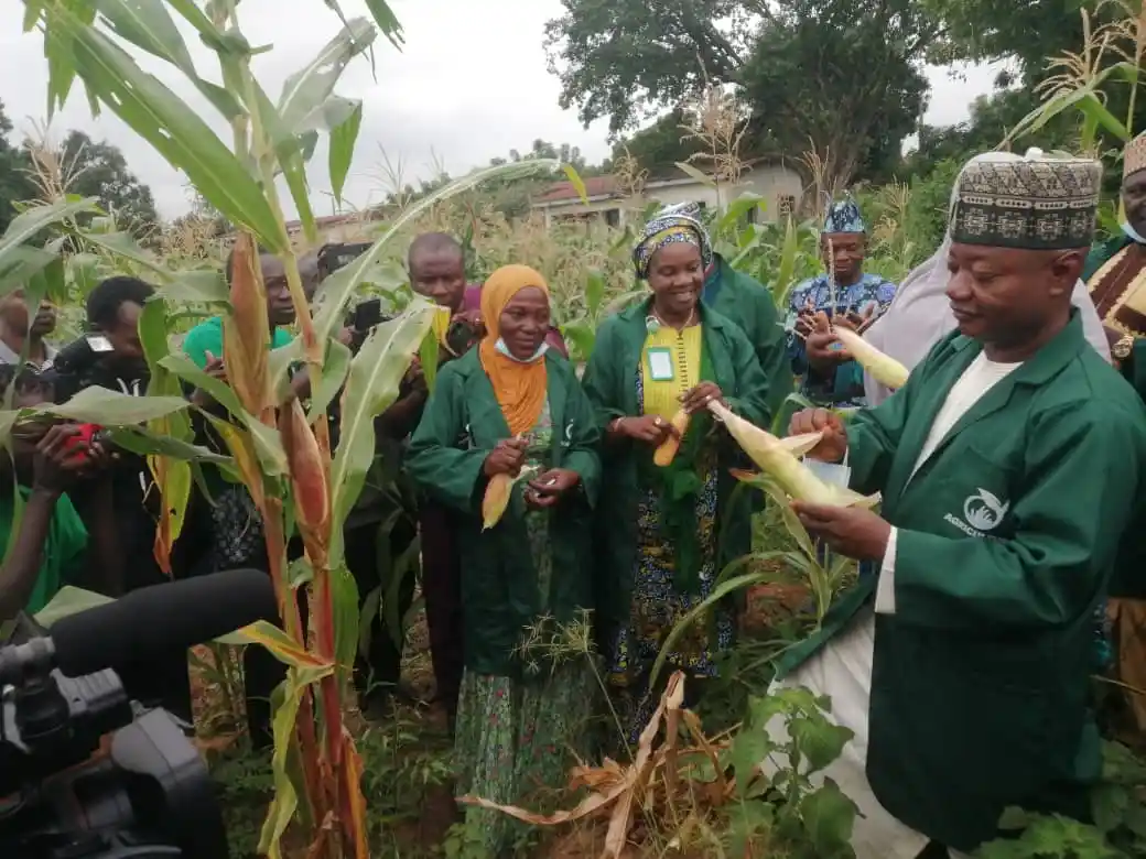 New Anti-Encroachment Strategy: Kwara Poly Uses Its Land For Large-Scale Farming…Ready To Welcome Tenant Farmers