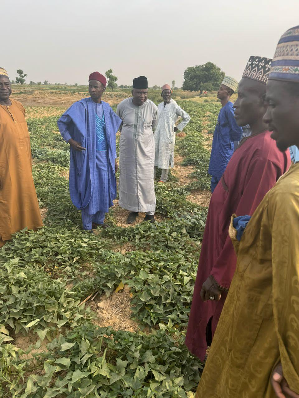 Kebbi Farmers Say Post-Flood Intervention Has Yielded Positive Results, Commend Gov Idris