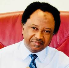 Reps Committee Recommending Creation Of 31 New States ‘Ironic’, ‘Comical’ -Shehu Sanni