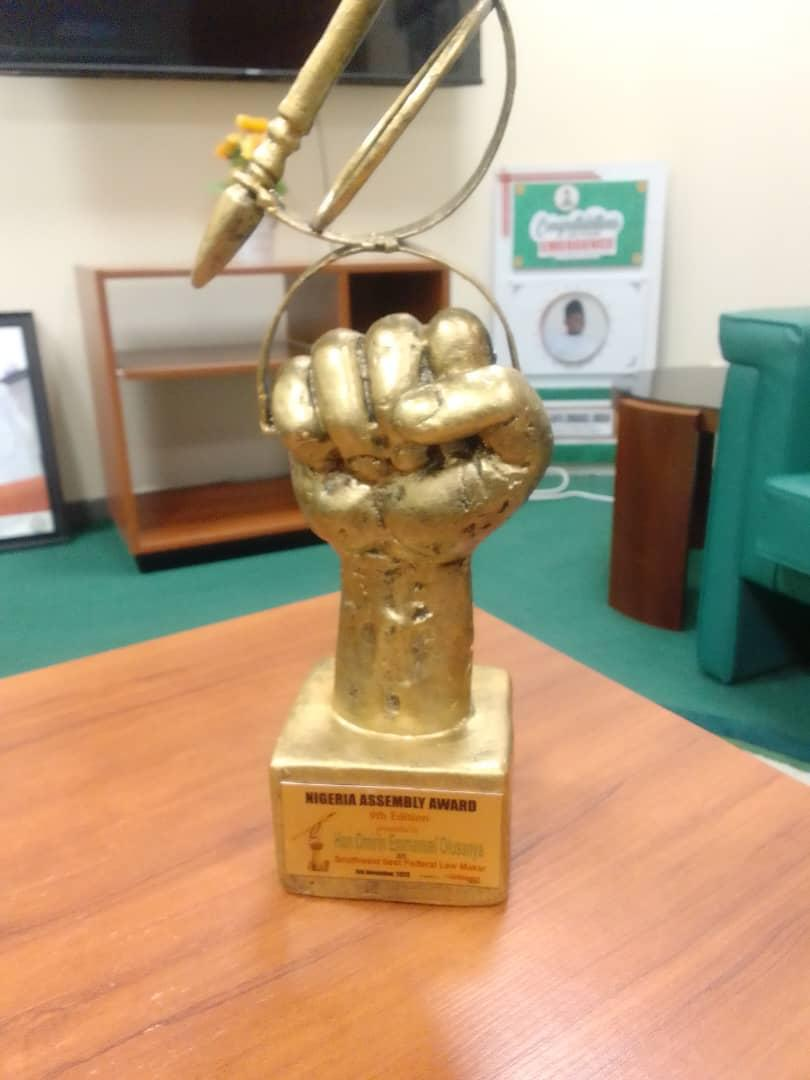 Rep Sanya Omirin Honoured With ‘Best Lawmaker In Southwest’ Award By NASS News