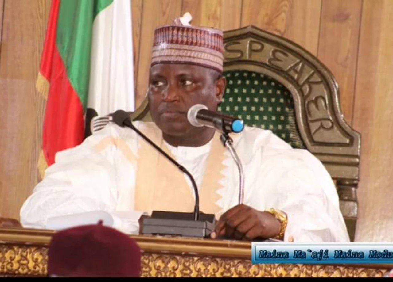 APC: Borno Speaker Condemns Omission Of VP Shettima’s Picture On Event Banner