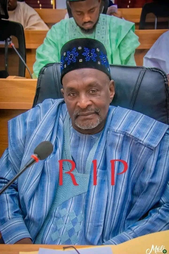 Bauchi Assembly Member Dies After Short Illness