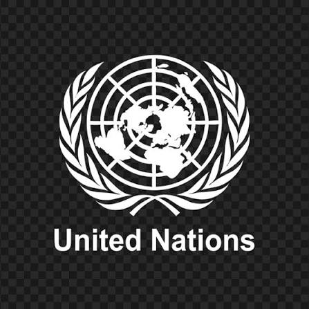 PeacePro Questions US-Africa Partnership, Urges Scrutiny Of Voting Record At United Nations